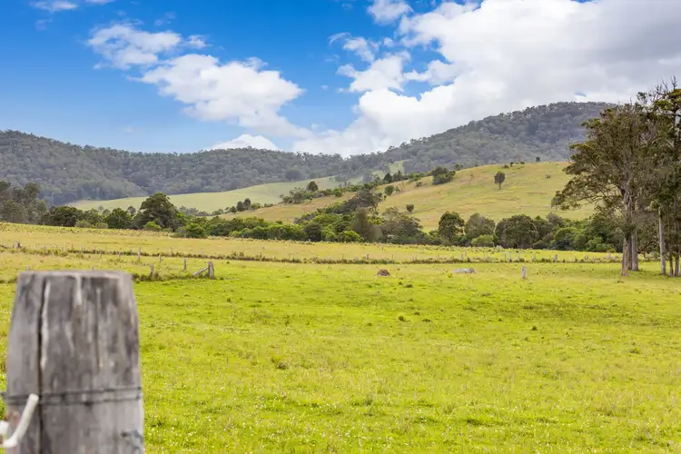Sixth view of Homely rural property listing, 87 Norries Road, Bunyah NSW 2429
