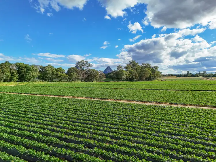 25 Pikes Road, Glass House Mountains QLD 4518