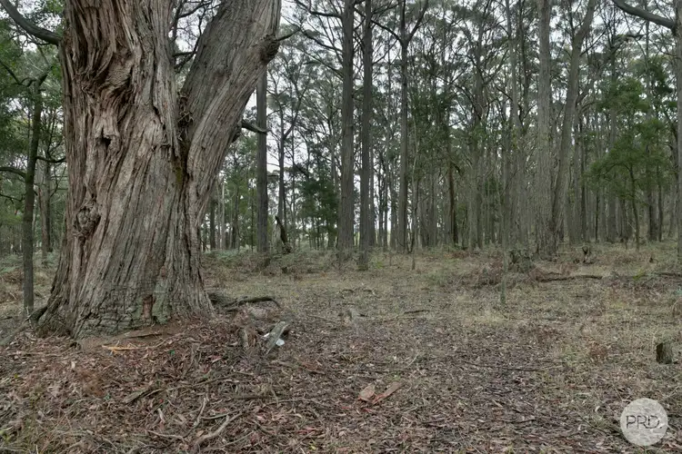 Fourth view of Homely land listing, Lot 4 Haydens Hill Road, Gordon VIC 3345