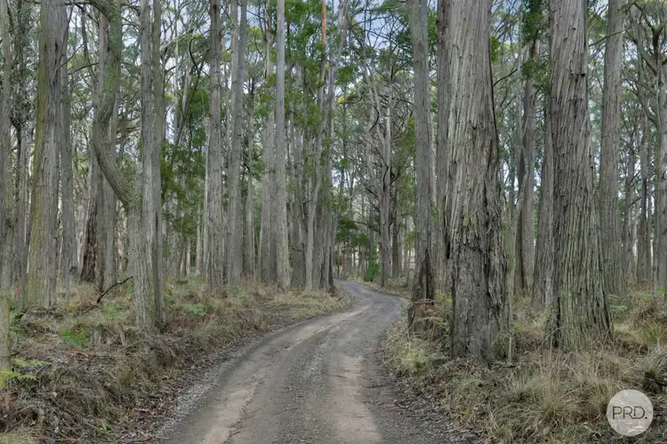 Sixth view of Homely land listing, Lot 4 Haydens Hill Road, Gordon VIC 3345