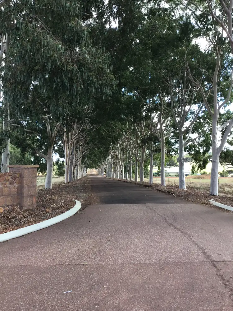 Second view of Homely land listing, 11 Shearing Rise, Wundowie WA 6560