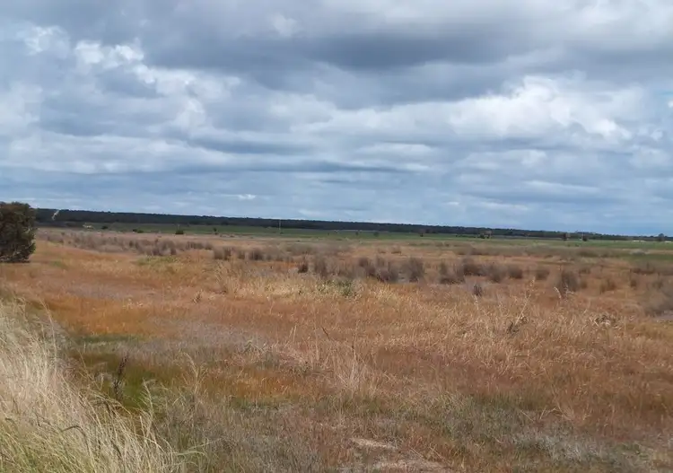 Fifth view of Homely land listing, LOT 610 Daviesia Drive, Hopetoun WA 6348