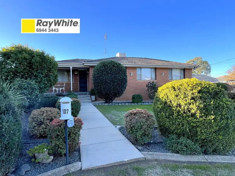Main view of Homely house listing, 107 William Street, Gundagai NSW 2722