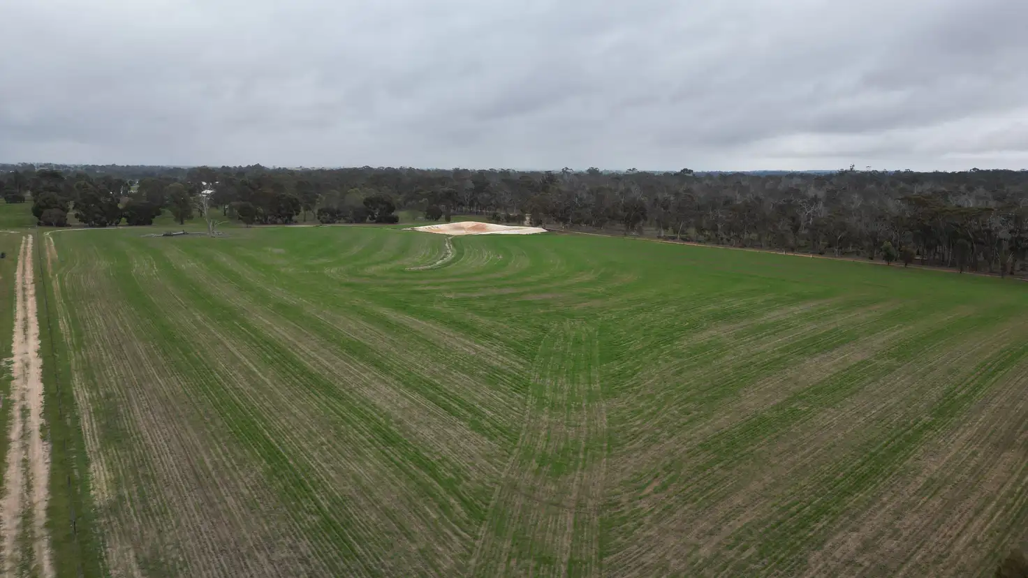 Main view of Homely land listing, LOT 423 Gordon Street, Broomehill Village WA 6318