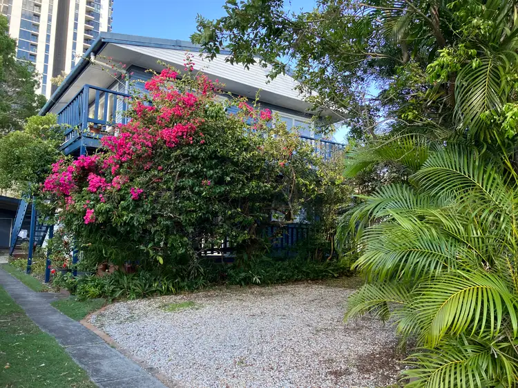 9A Hibiscus Haven