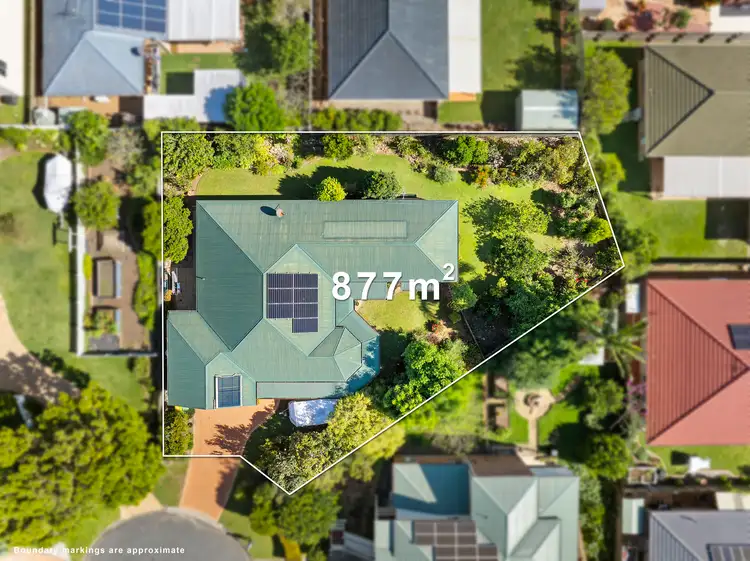 Main view of Homely house listing, 7 Major Court, Birkdale QLD 4159