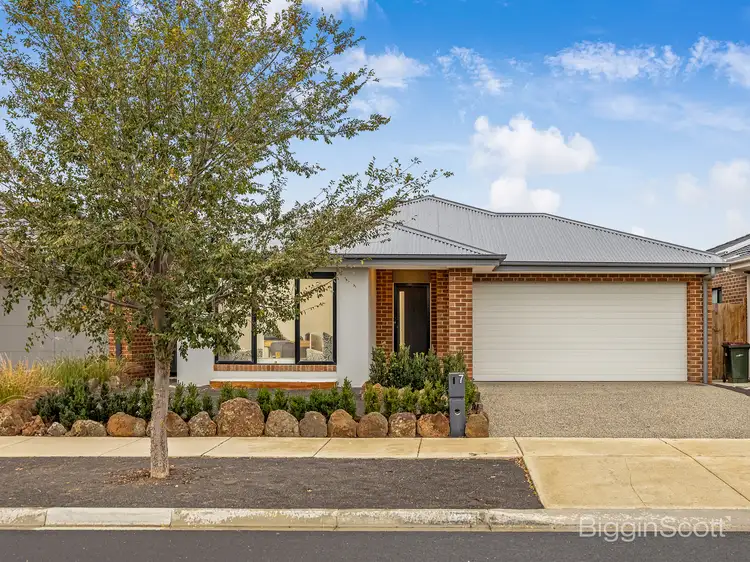 7 Callistemon Circuit