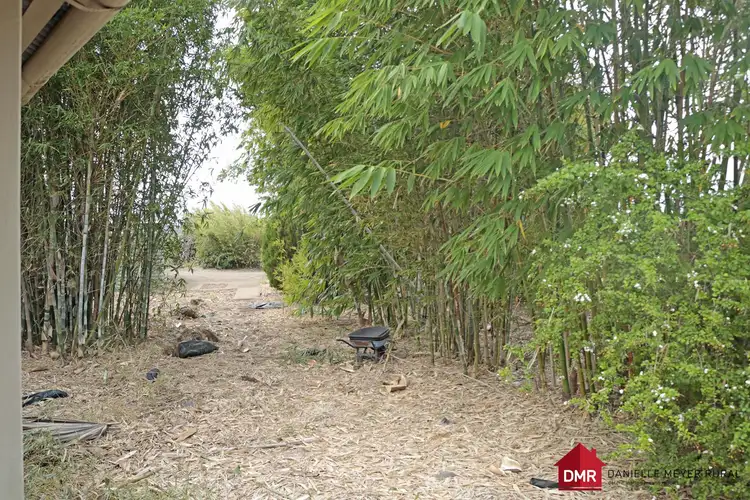 Seventh view of Homely rural property listing, 281 Binjour Branch Creek Road, Binjour QLD 4625