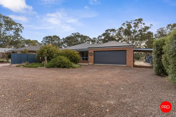 3/48B Strickland Street, Ascot VIC 3551