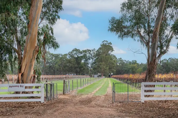 Third view of Homely rural property listing, 374 Jindong-Treeton Road, Kaloorup WA 6280