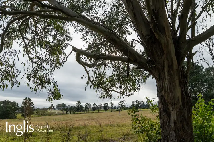 Fourth view of Homely rural property listing, 12 Westminster Place, Razorback NSW 2571