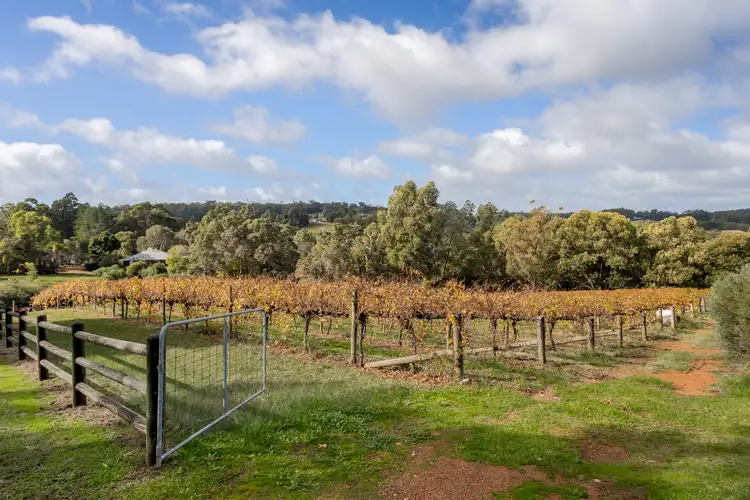Seventh view of Homely rural property listing, 11 The Dress Circle, Henty WA 6236