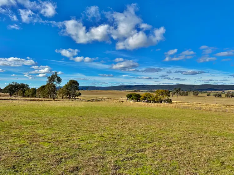 Fourth view of Homely land listing, Lots 8, 9, 10 & 11 Wirrimah Road, Bendick Murrell via, Young NSW 2594