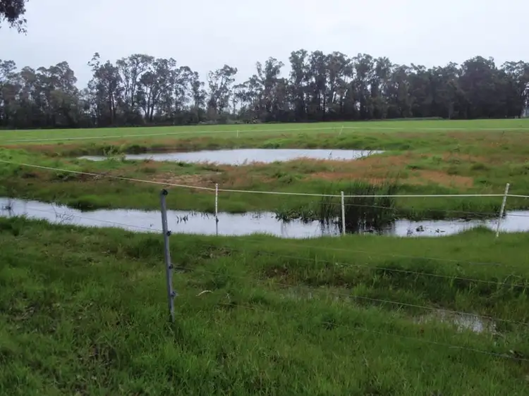 Seventh view of Homely rural property listing, Lot 79 Markey Road, Anniebrook WA 6280