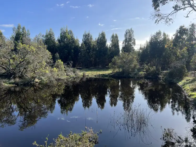 Lot 5809 Takenup Road, Napier WA 6330