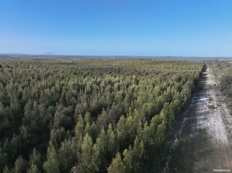 Second view of Homely rural property listing, Lot 5809 Takenup Road, Napier WA 6330