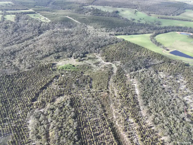 Third view of Homely rural property listing, Lot 5809 Takenup Road, Napier WA 6330