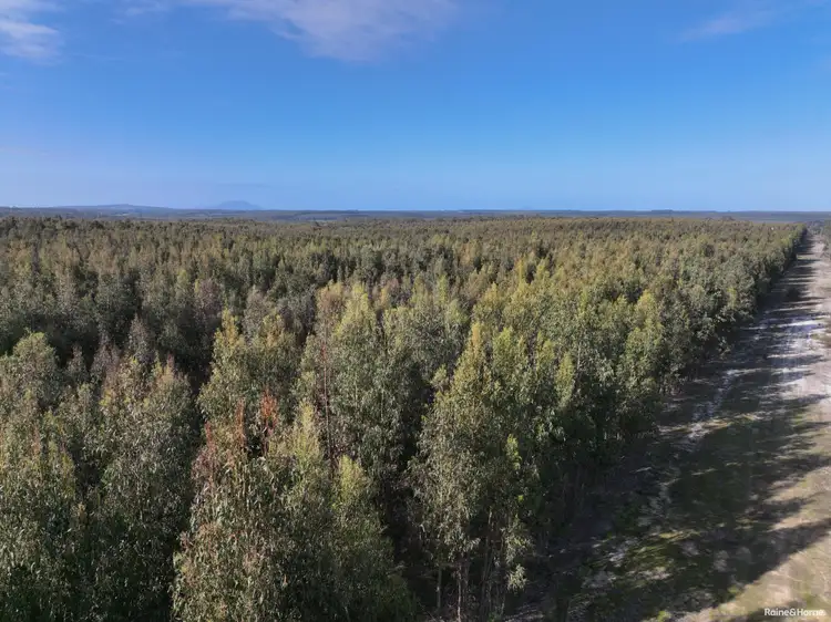Sixth view of Homely rural property listing, Lot 5809 Takenup Road, Napier WA 6330