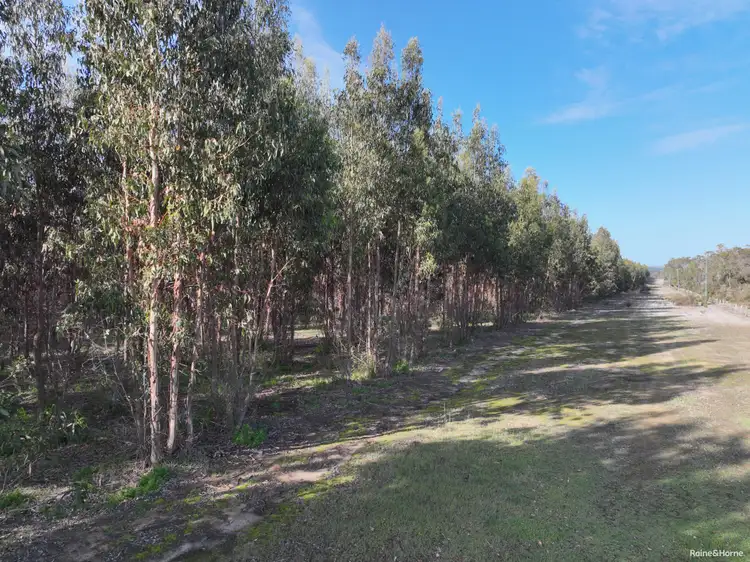 Seventh view of Homely rural property listing, Lot 5809 Takenup Road, Napier WA 6330
