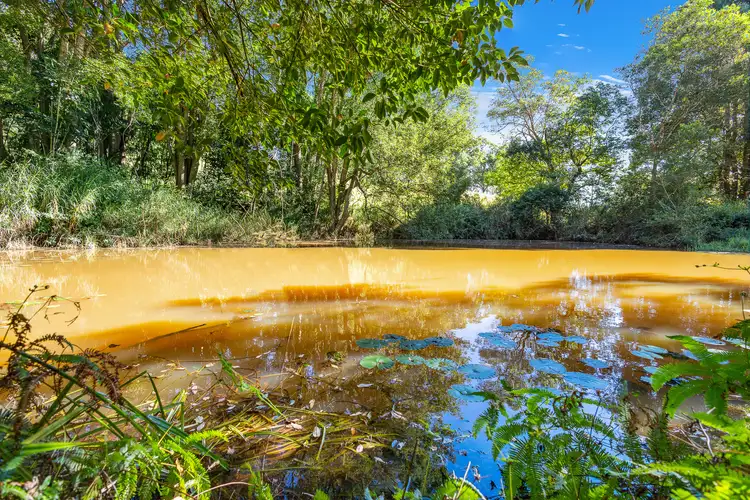 Sixth view of Homely land listing, 238 Diddillibah Road, Woombye QLD 4559