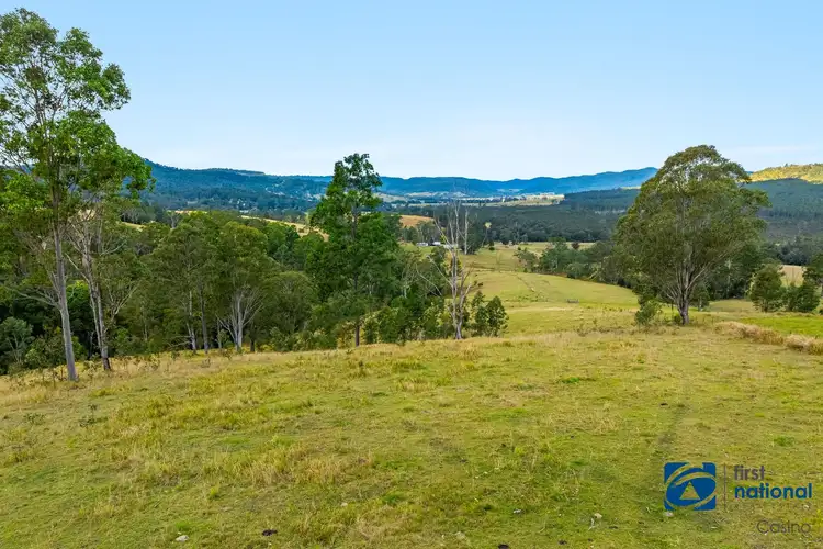 Fifth view of Homely rural property listing, 166 Farm Road, Bonalbo NSW 2469