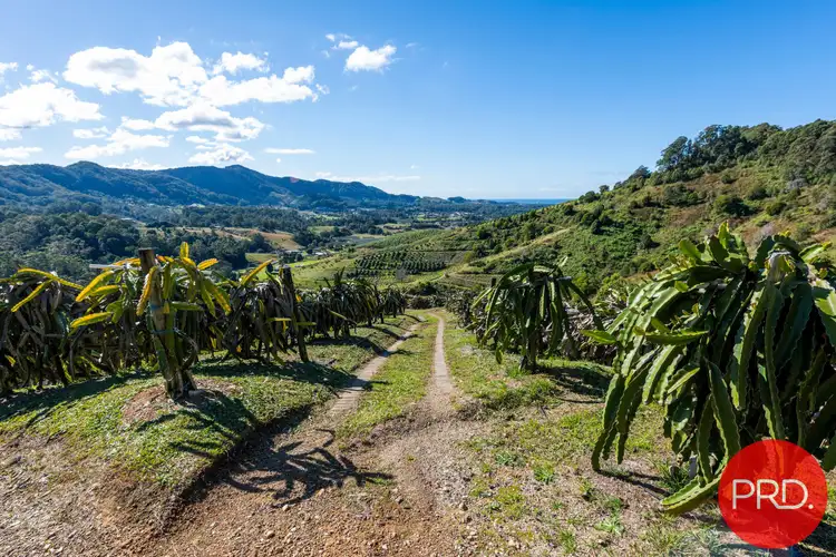 115B-115c Bennetts Road, Coffs Harbour NSW 2450