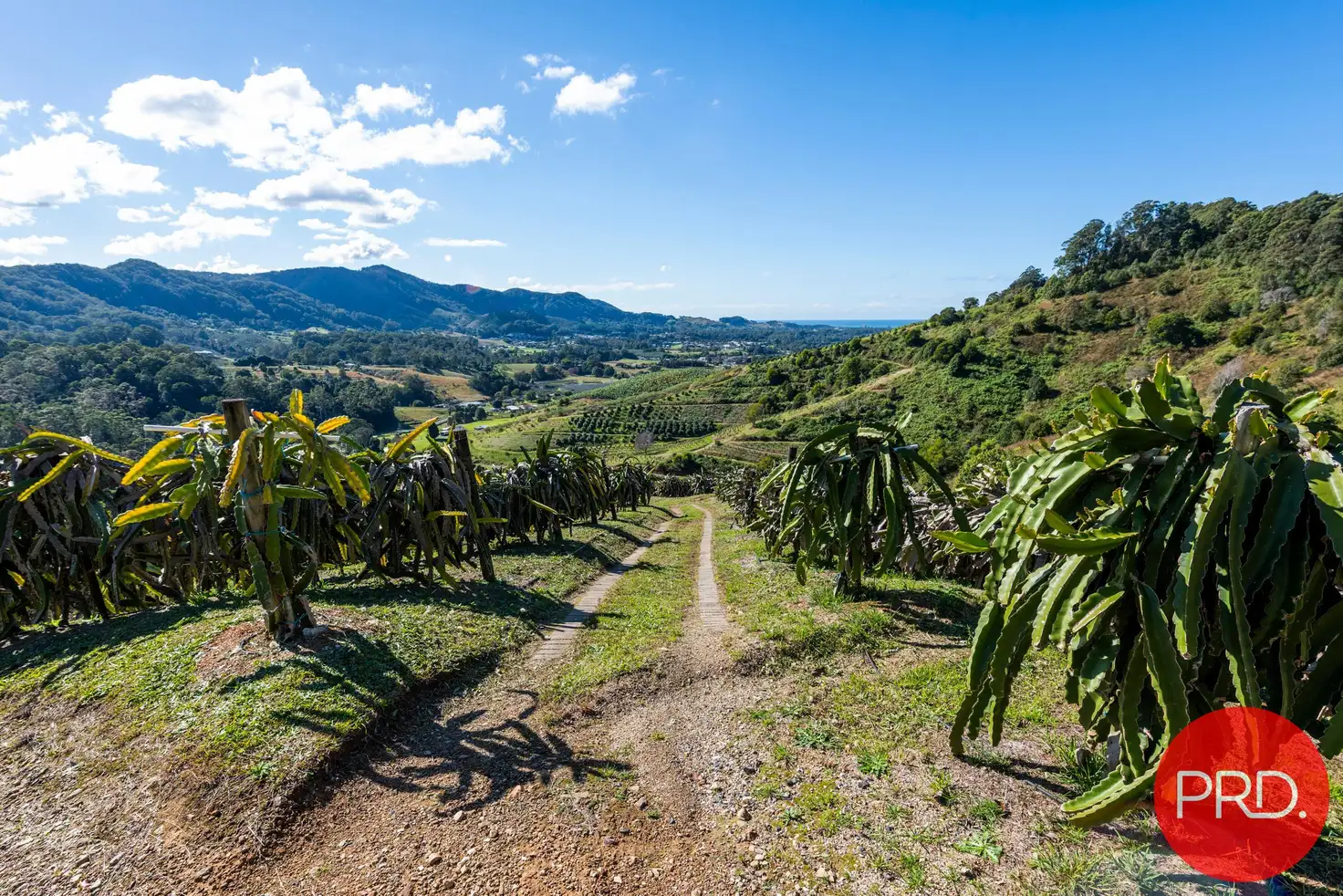 Main view of Homely land listing, 115B-115c Bennetts Road, Coffs Harbour NSW 2450
