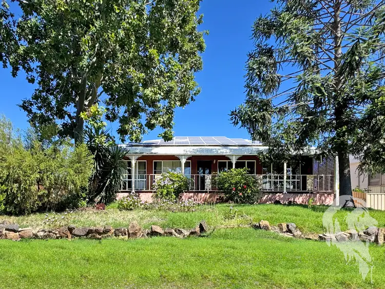 21 Haley Avenue, Narrabri NSW 2390