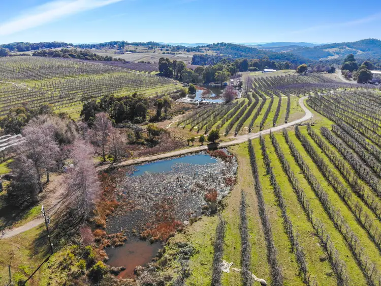 Seventh view of Homely rural property listing, 129 Cottams Road, Batlow NSW 2730