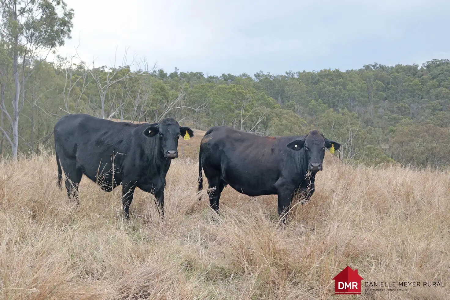 Main view of Homely rural property listing, Lot 33-35 Bilboolan Road, Eidsvold QLD 4627