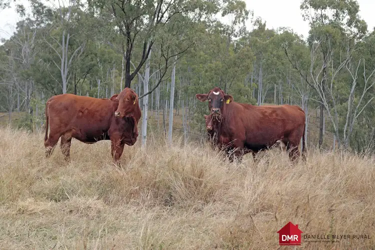 Fourth view of Homely rural property listing, Lot 33-35 Bilboolan Road, Eidsvold QLD 4627