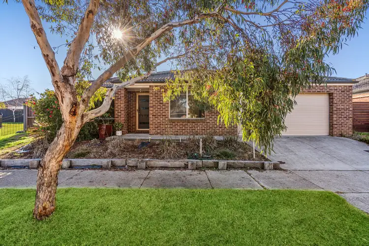 12 Adair Court, Marshall VIC 3216