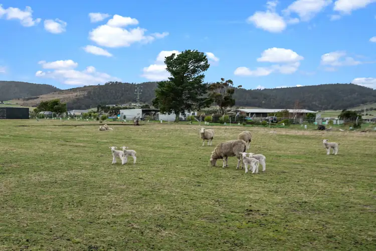 Seventh view of Homely land listing, 35 Goodford Lane, Orielton TAS 7172