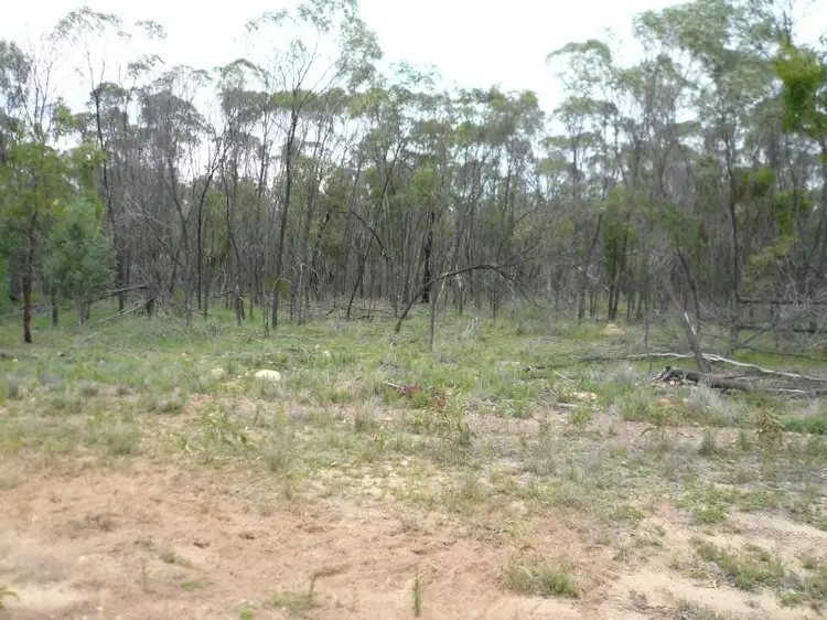 Main view of Homely land listing, LOT 22 CYPRESS ROAD, Daandine QLD 4405