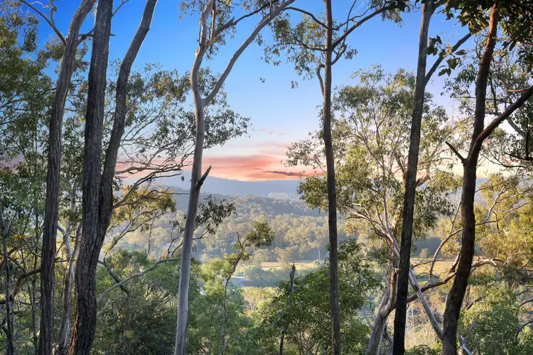 Fourth view of Homely rural property listing, 757 Gilston Road, Gilston QLD 4211