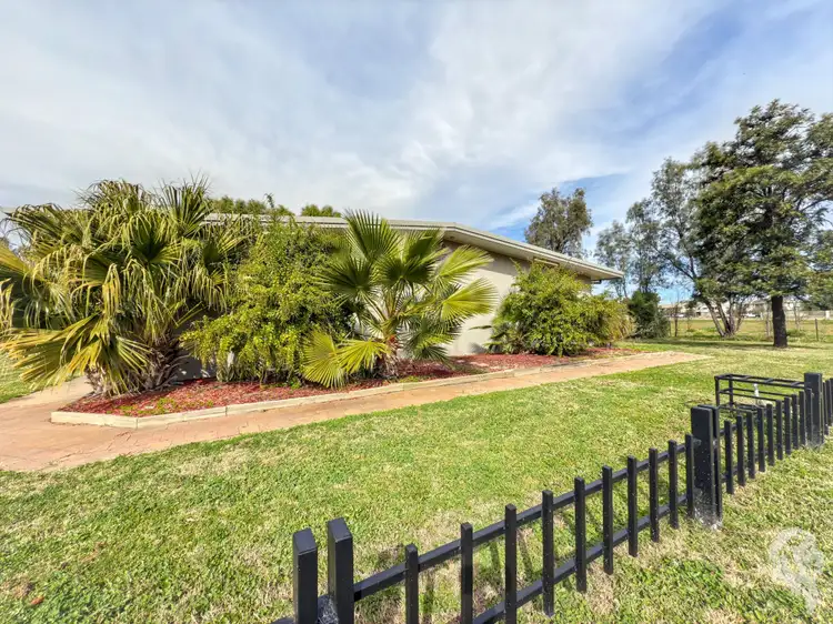 Main view of Homely other listing, 16 Violet Street, Narrabri NSW 2390
