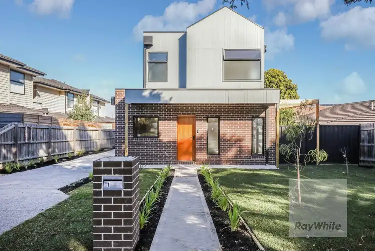 19 Cynga Street