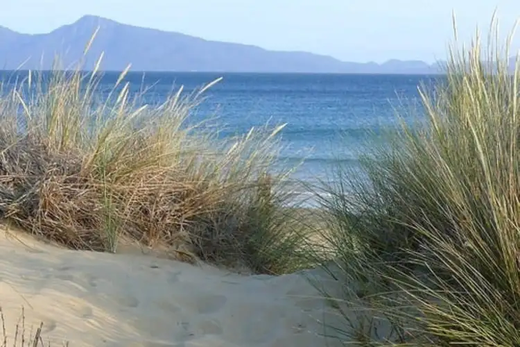 736 Dolphin Sands Road, Dolphin Sands TAS 7190