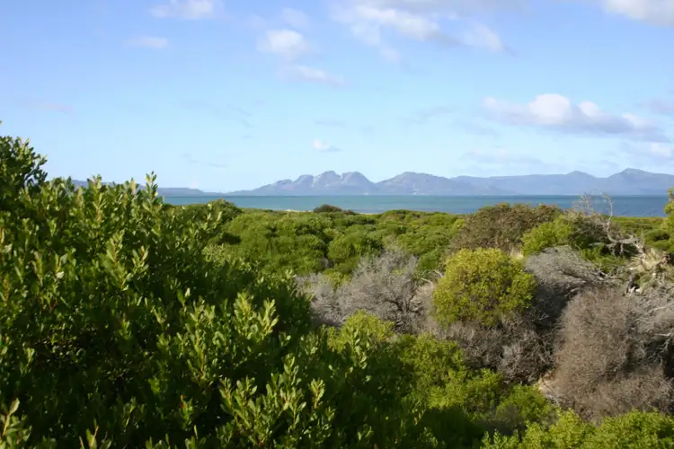 Second view of Homely land listing, 736 Dolphin Sands Road, Dolphin Sands TAS 7190