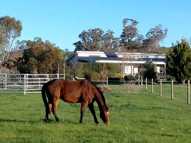 945 Howes Creek Road