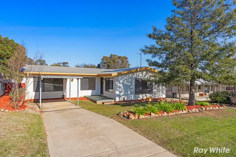43 Pitt Street, Junee NSW 2663