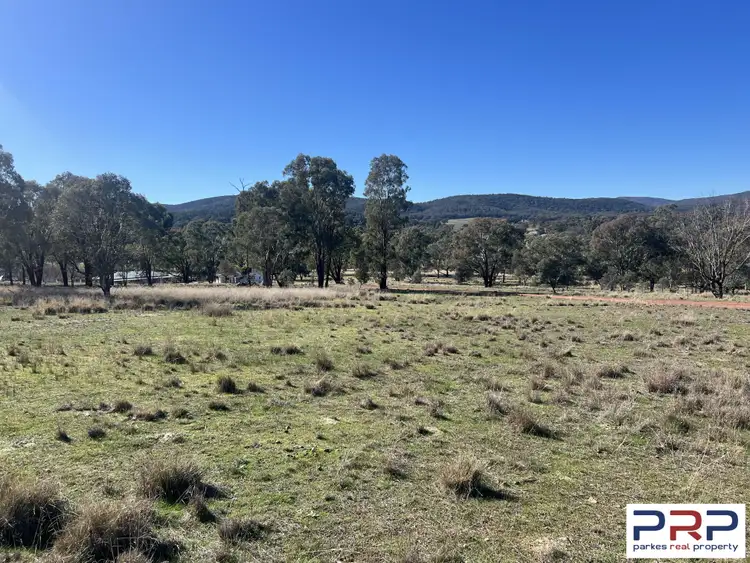 Third view of Homely rural property listing, 474 Lake Endeavour Road, Parkes NSW 2870