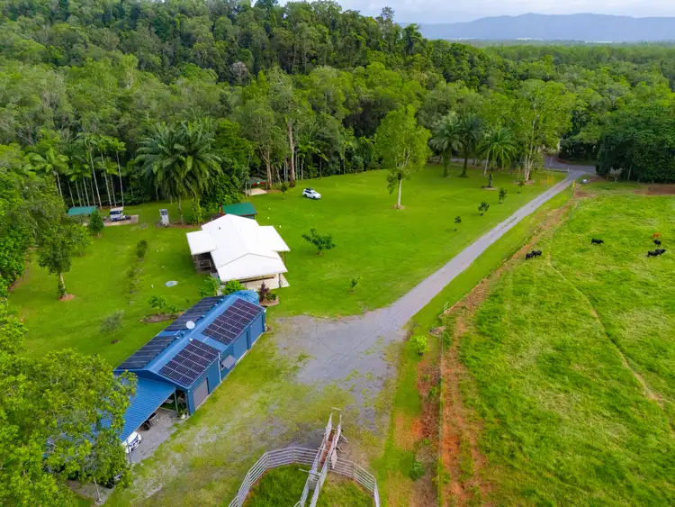 Third view of Homely house listing, 633 Cape Tribulation Road, Kimberley, Daintree QLD 4873
