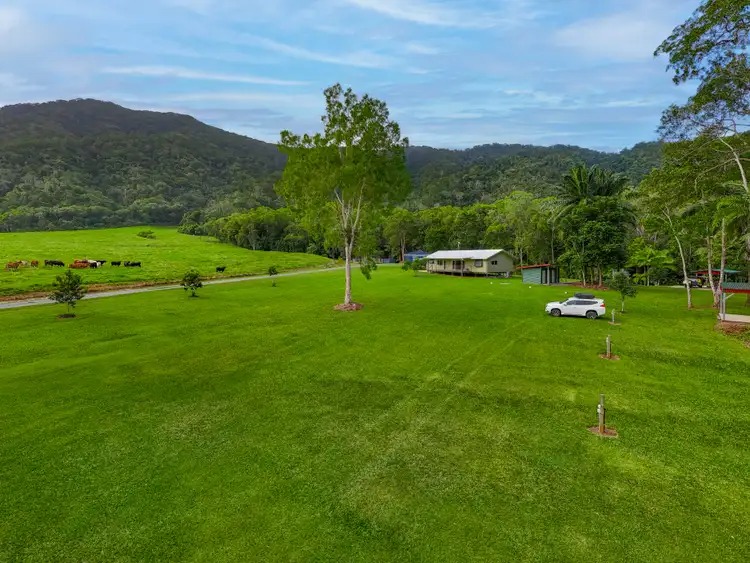 Fourth view of Homely house listing, 633 Cape Tribulation Road, Kimberley, Daintree QLD 4873