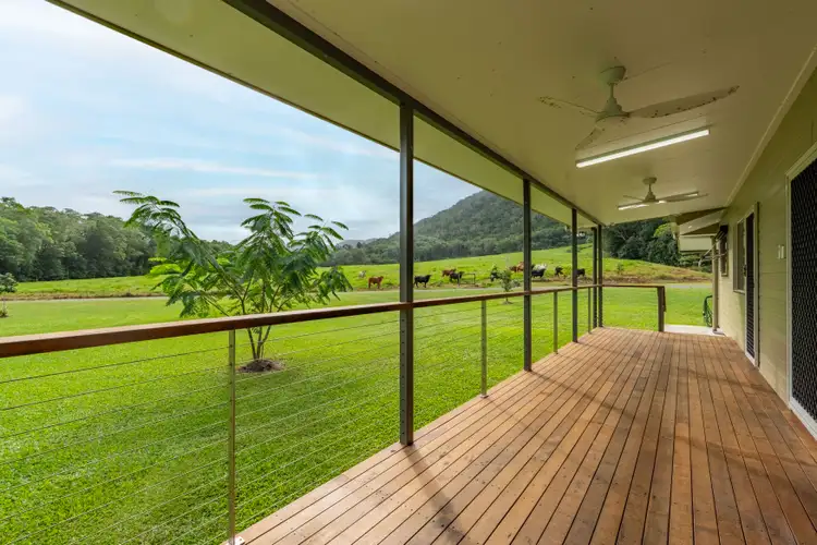 Fifth view of Homely house listing, 633 Cape Tribulation Road, Kimberley, Daintree QLD 4873