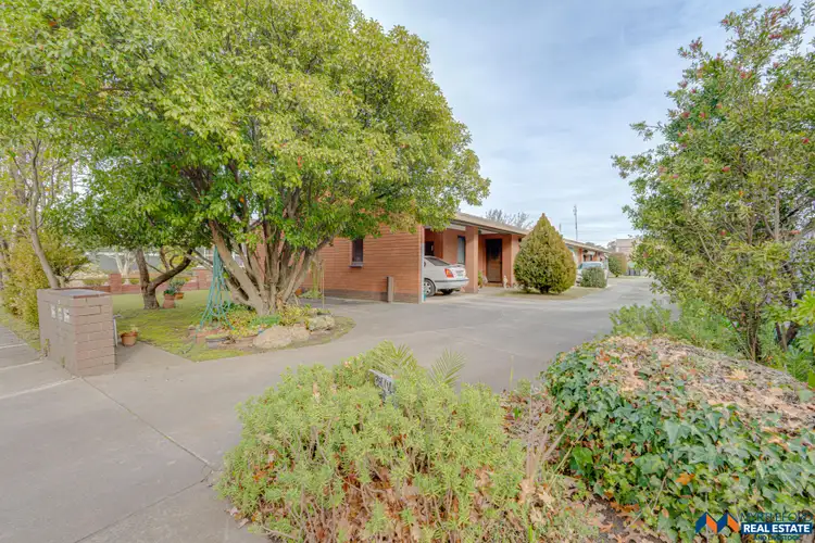 Main view of Homely house listing, 1/187 Myrtle Street, Myrtleford VIC 3737