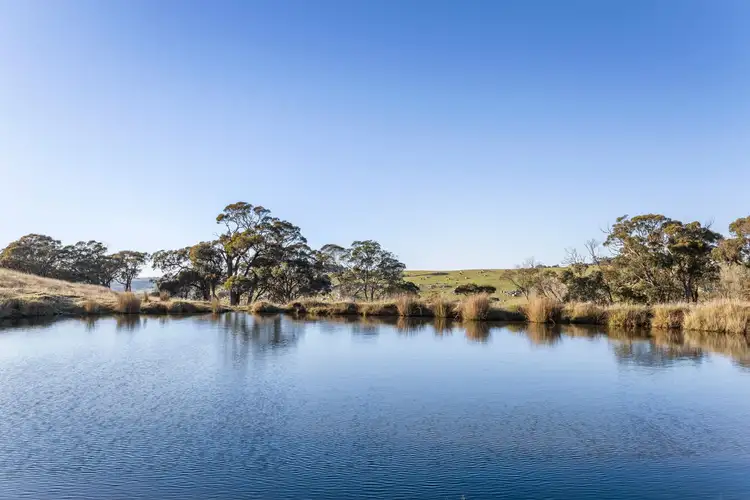 Fifth view of Homely land listing, LOT 1, 600 Tooborac Baynton Road, Glenhope East VIC 3522