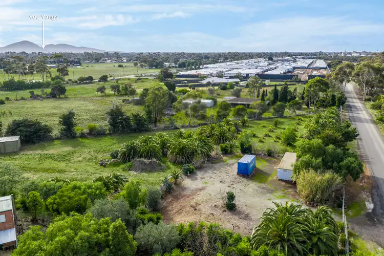 955 Princes Highway