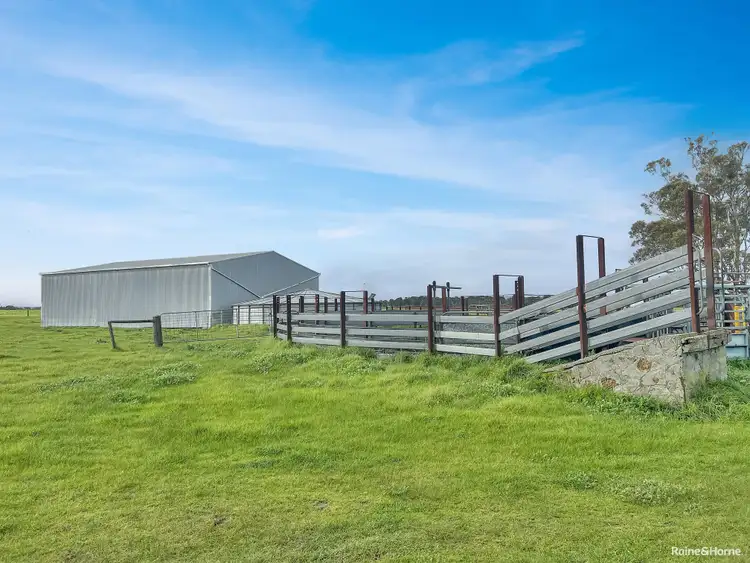 Seventh view of Homely rural property listing, 91 Millbrook Road, Green Valley WA 6330