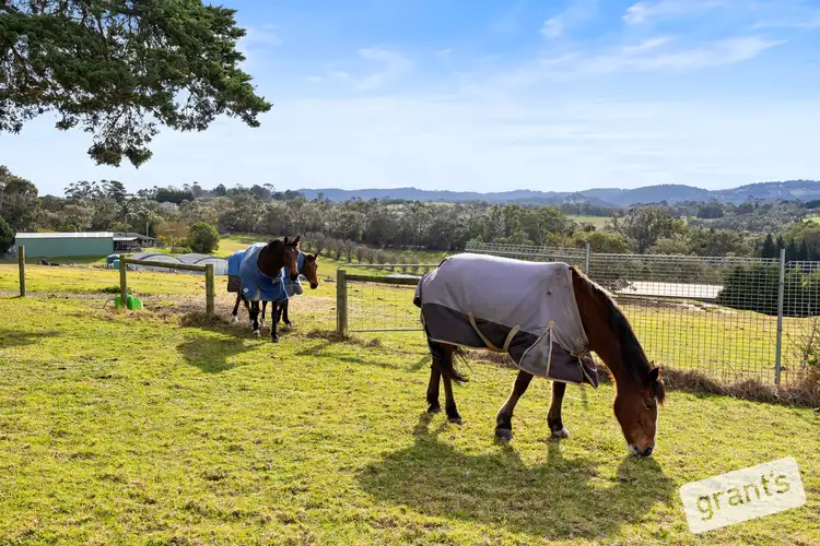 Fifth view of Homely house listing, 56 Edebohls Road, Narre Warren East VIC 3804